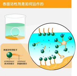 洁净肌肤第一步 科学洁面与洁面产品选择全攻略